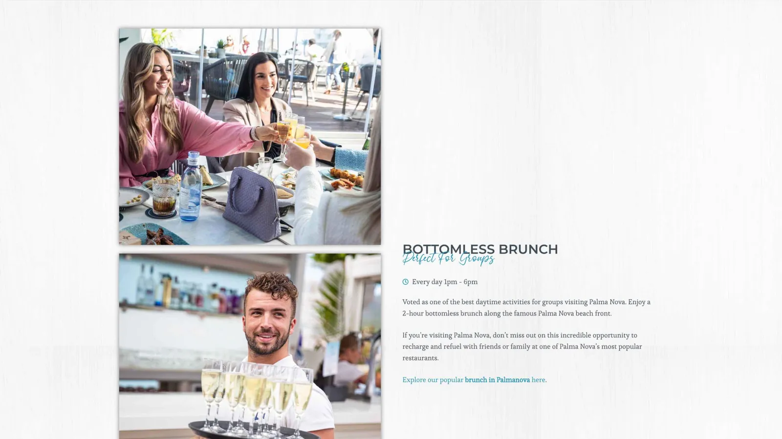 New website for popular restaurant, interface