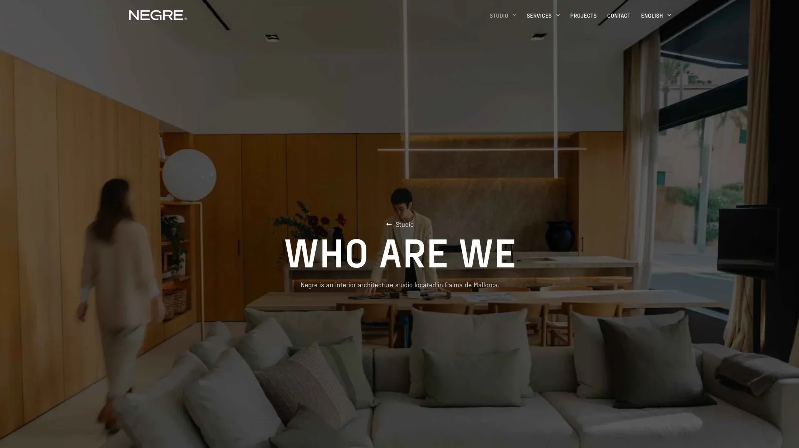 Website design for Nerge, view